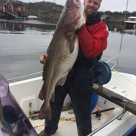 Nordlandshus Lofoten - Nyaraló Skrova